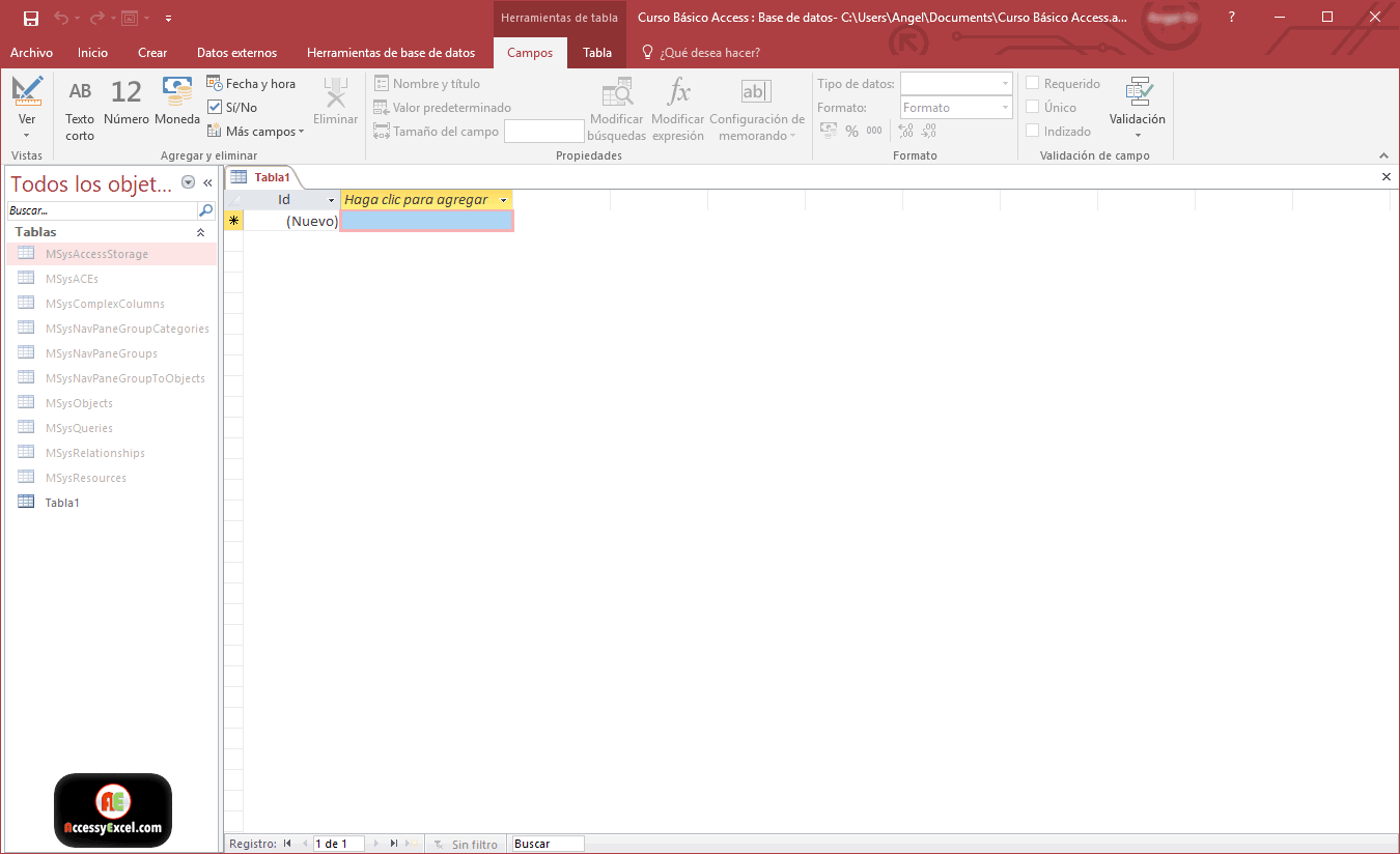 Microsoft Access- fichero de base de datos